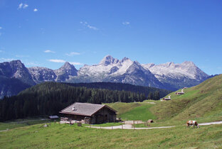 Ihr Sommerurlaub in der Almenwelt von Lofer