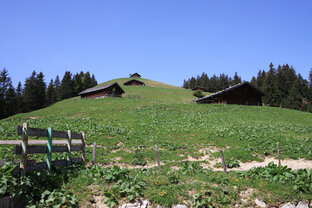 Wandern zur Loferer Alm