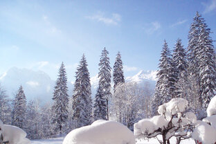 Gasthof-Pension Lohfeyer im Winter